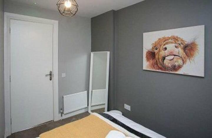 Amazing 3 Bedroom Home, Prime Bt1 Postcode And Centre Location Belfast